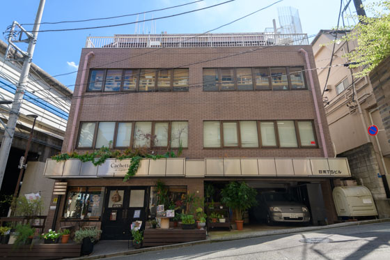 白ホリゾント